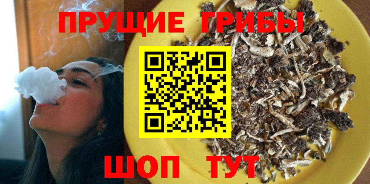 Галлюциногенные грибы Psilocybe  Вход с VPN  Азнакаево 