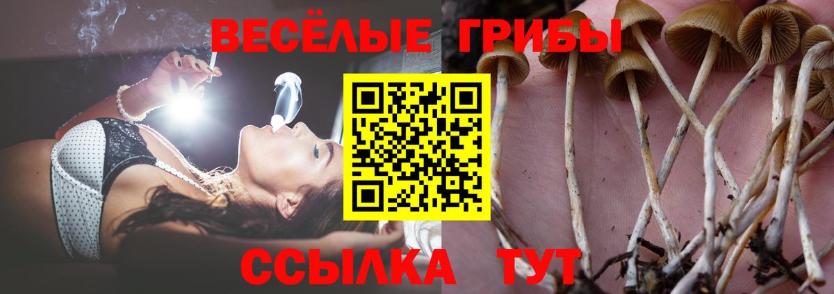 Галлюциногенные грибы MAGIC MUSHROOMS Азнакаево